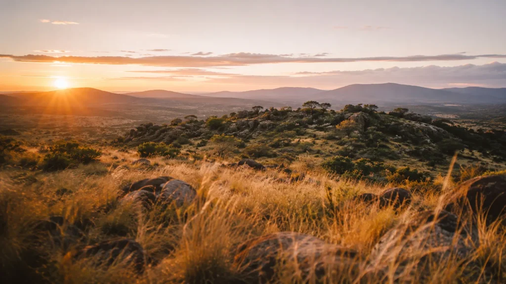 Laikipia Conservancy Sunrise