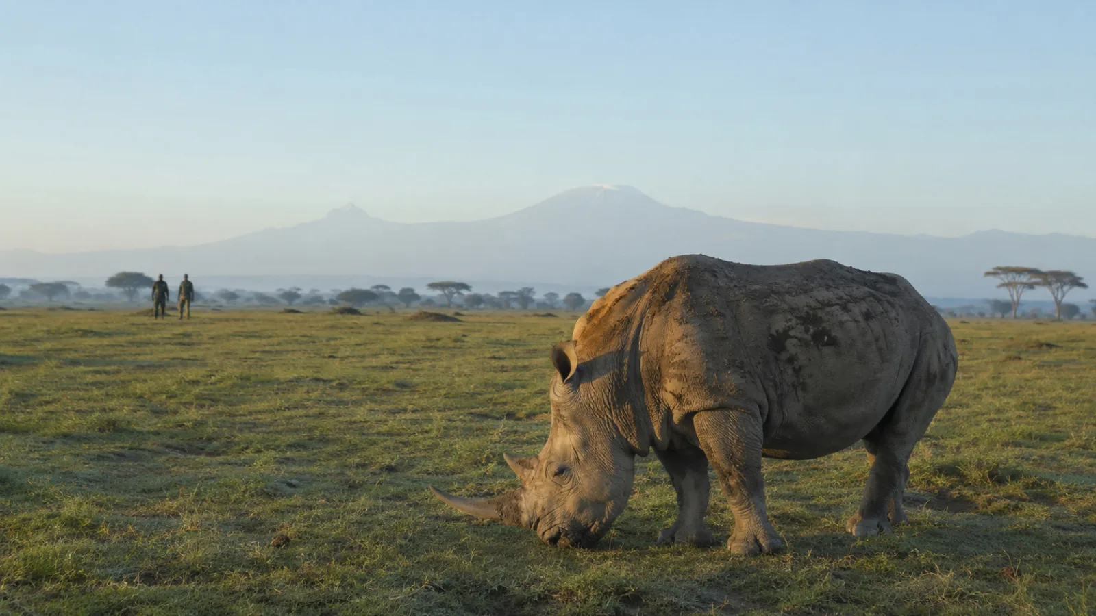 Ol Pejeta Rhino Conservancy