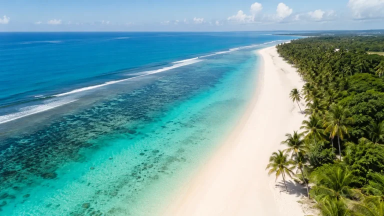 Diani Beach Aerial