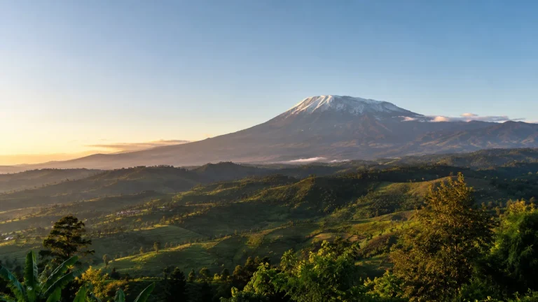 Kilimanjaro Foothills