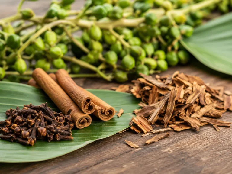 Zanzibar Spice Farm Detail