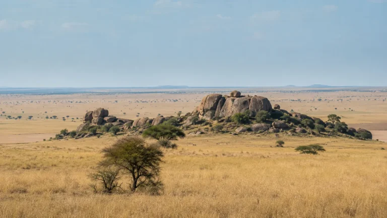 Serengeti National Park