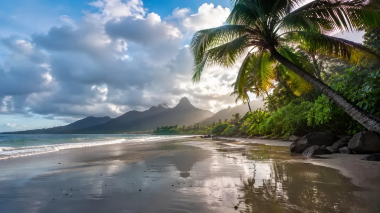 Tropical Storm Clearing