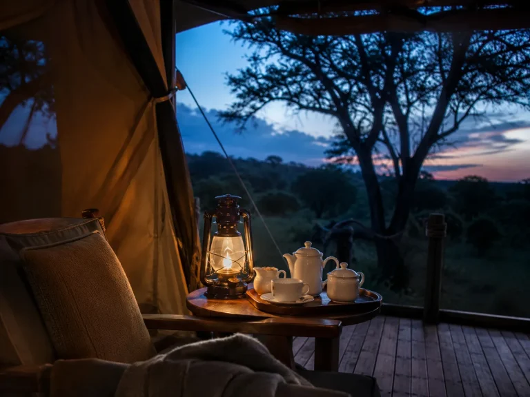 Evening Lantern Tea