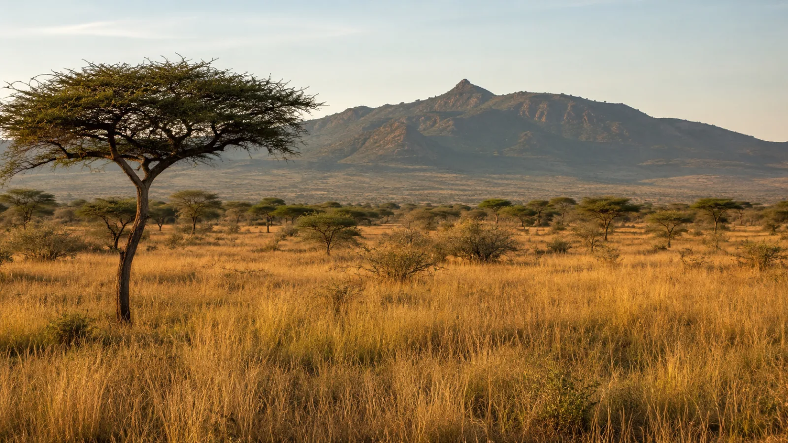 Kenya