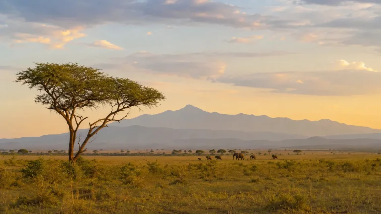 The Kenya Sky Explorer