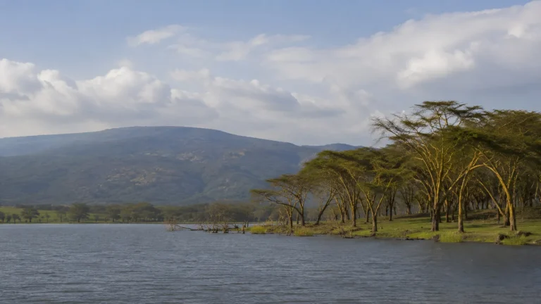 The Great Rift And Mara Collection