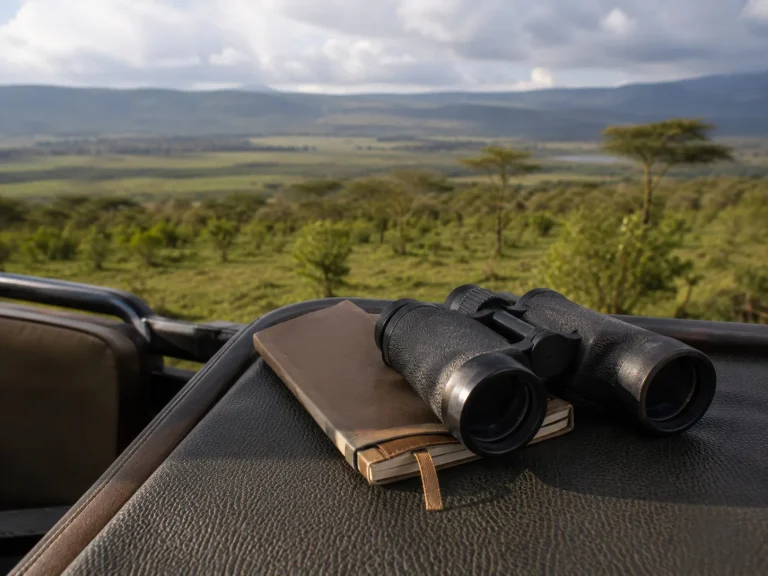 The Great Rift And Mara Collection