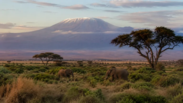 The Mara And Kilimanjaro Luxury Circuit