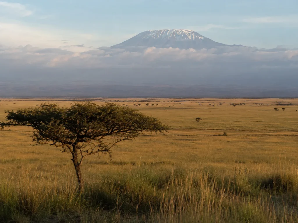 The Mara And Kilimanjaro Luxury Circuit