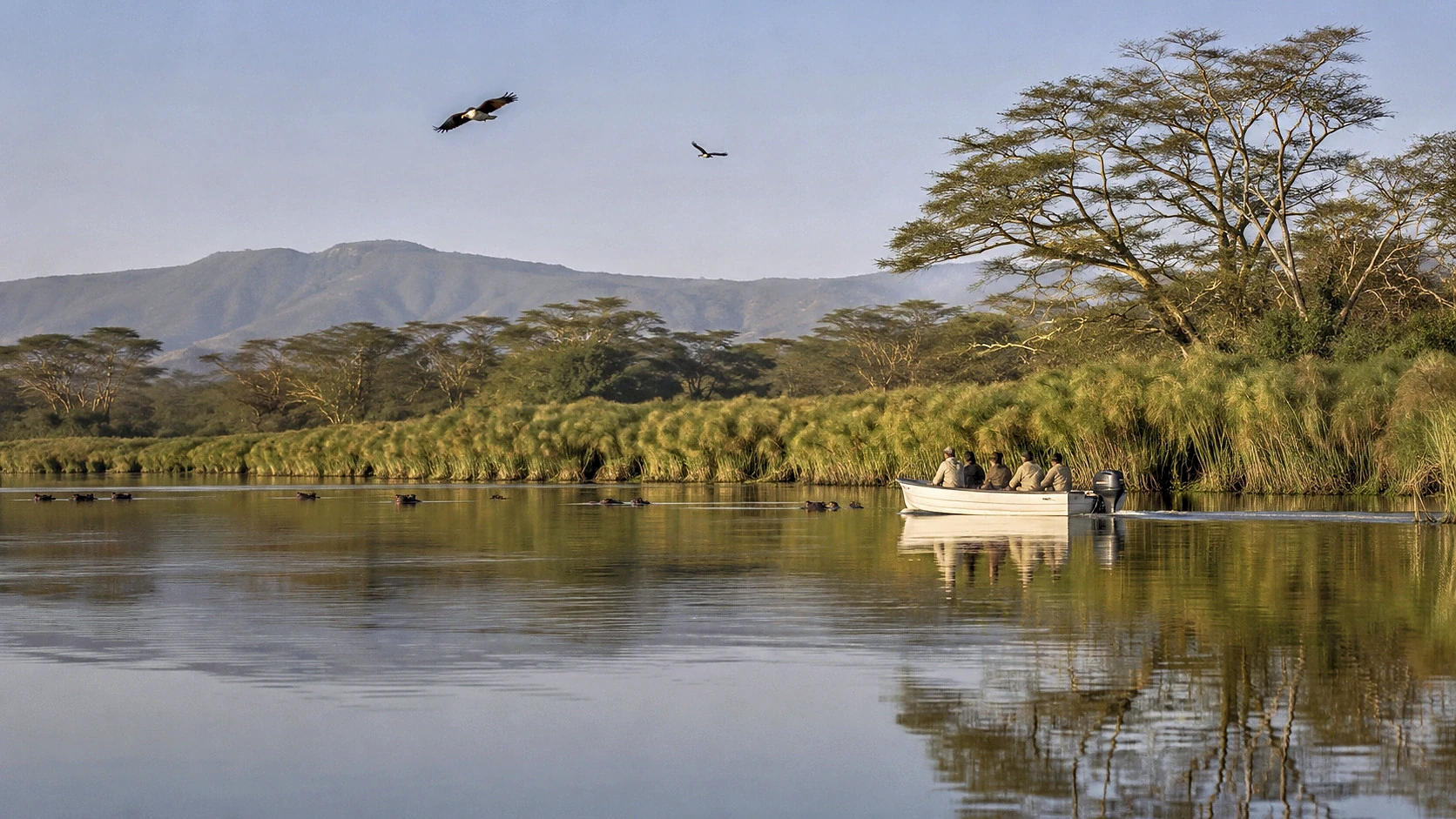 Lakes & Wildlife Discovery