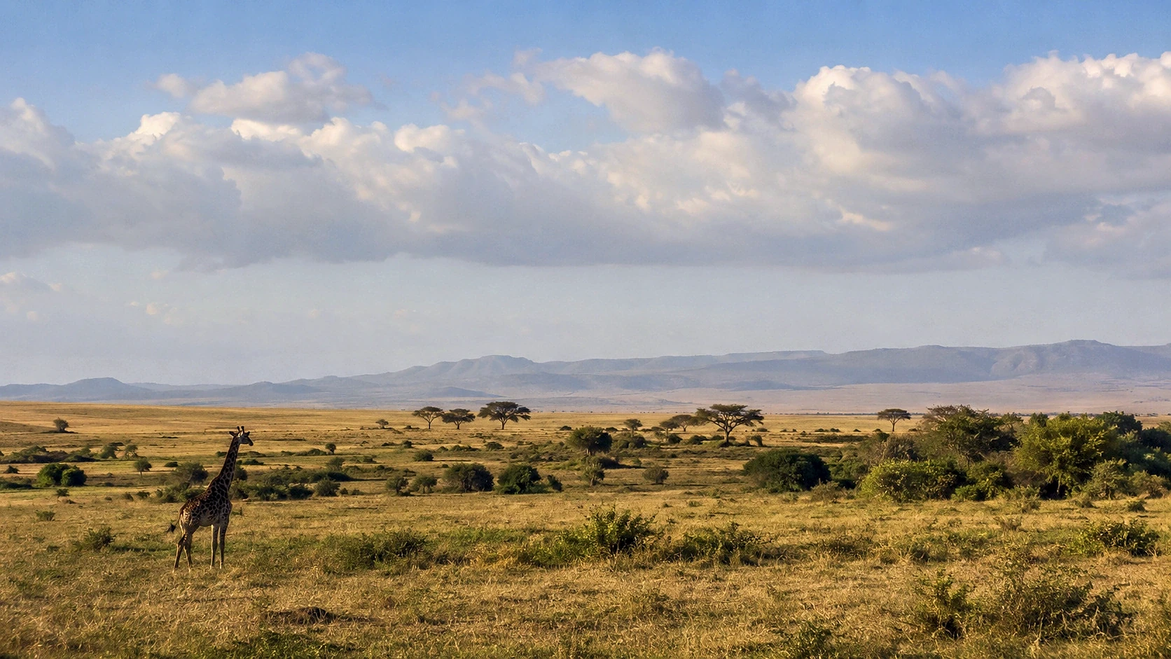 Tsavo East Wilderness Safari