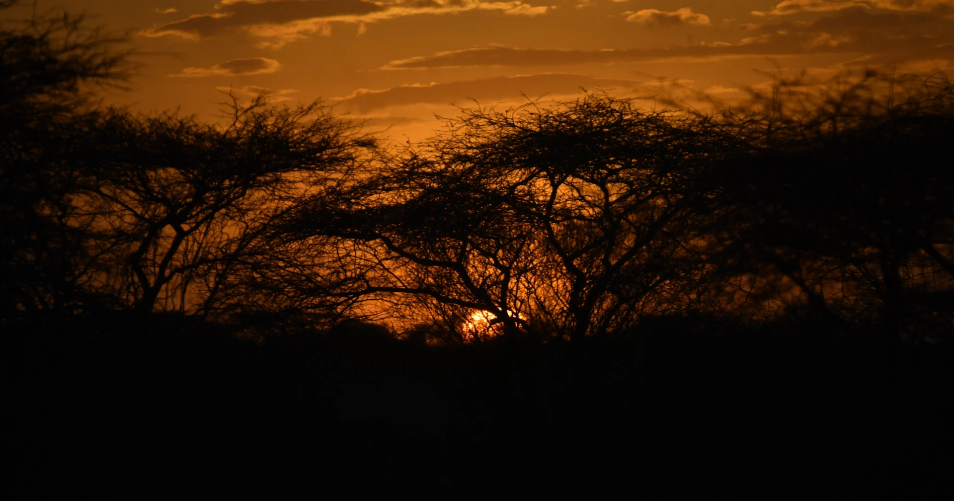 Northern Kenya Wildlife Safari