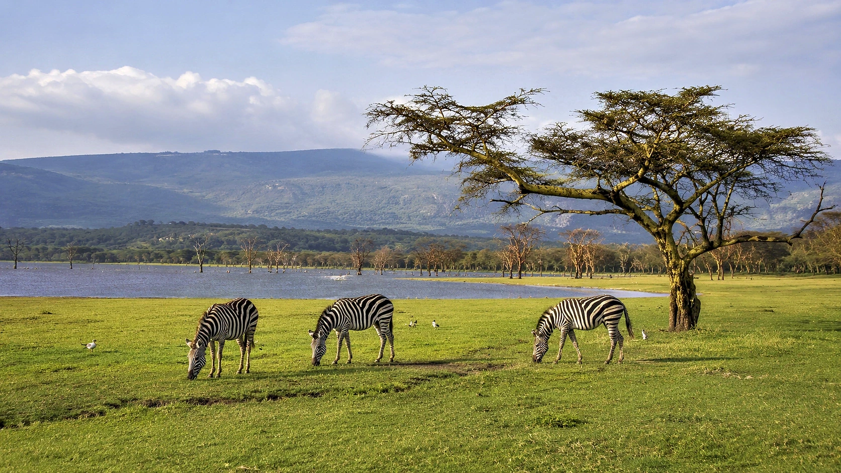 Kenya’s Big Five Safari