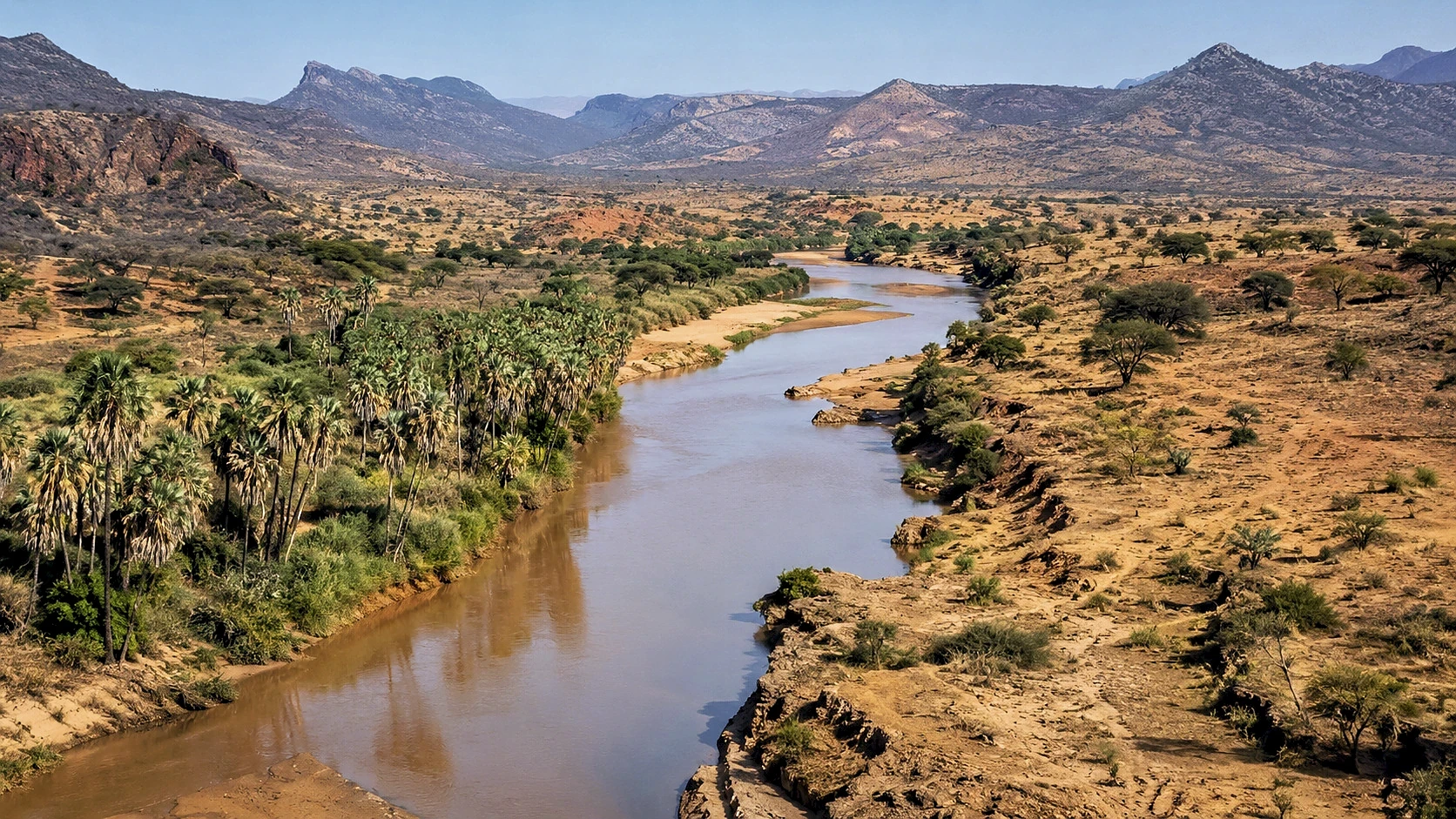 Kenya Wildlife & Conservation Safari
