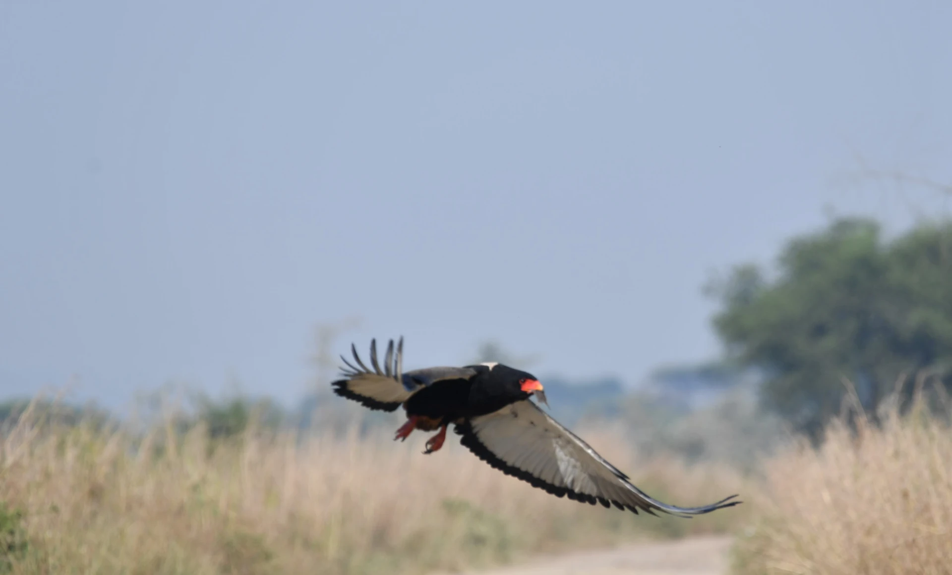 Kenya’s Scenic Safari Trail