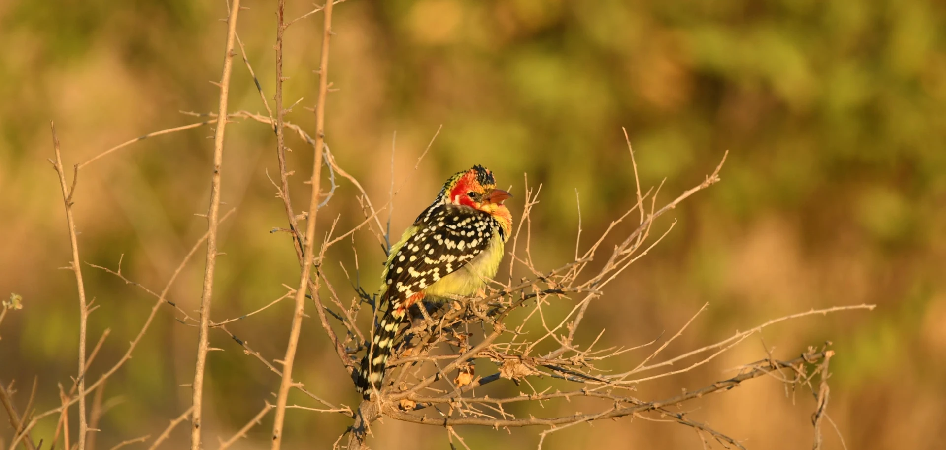Kenya North to South Expedition