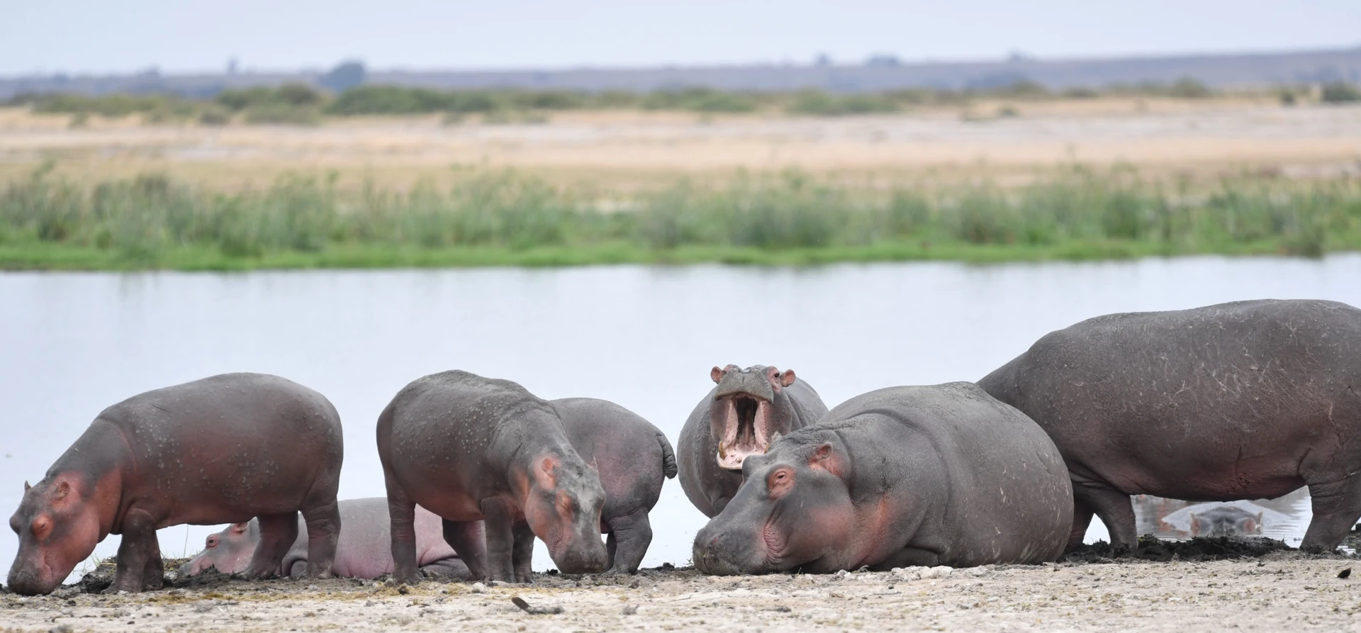 Kenya Heritage & Wildlife Expedition