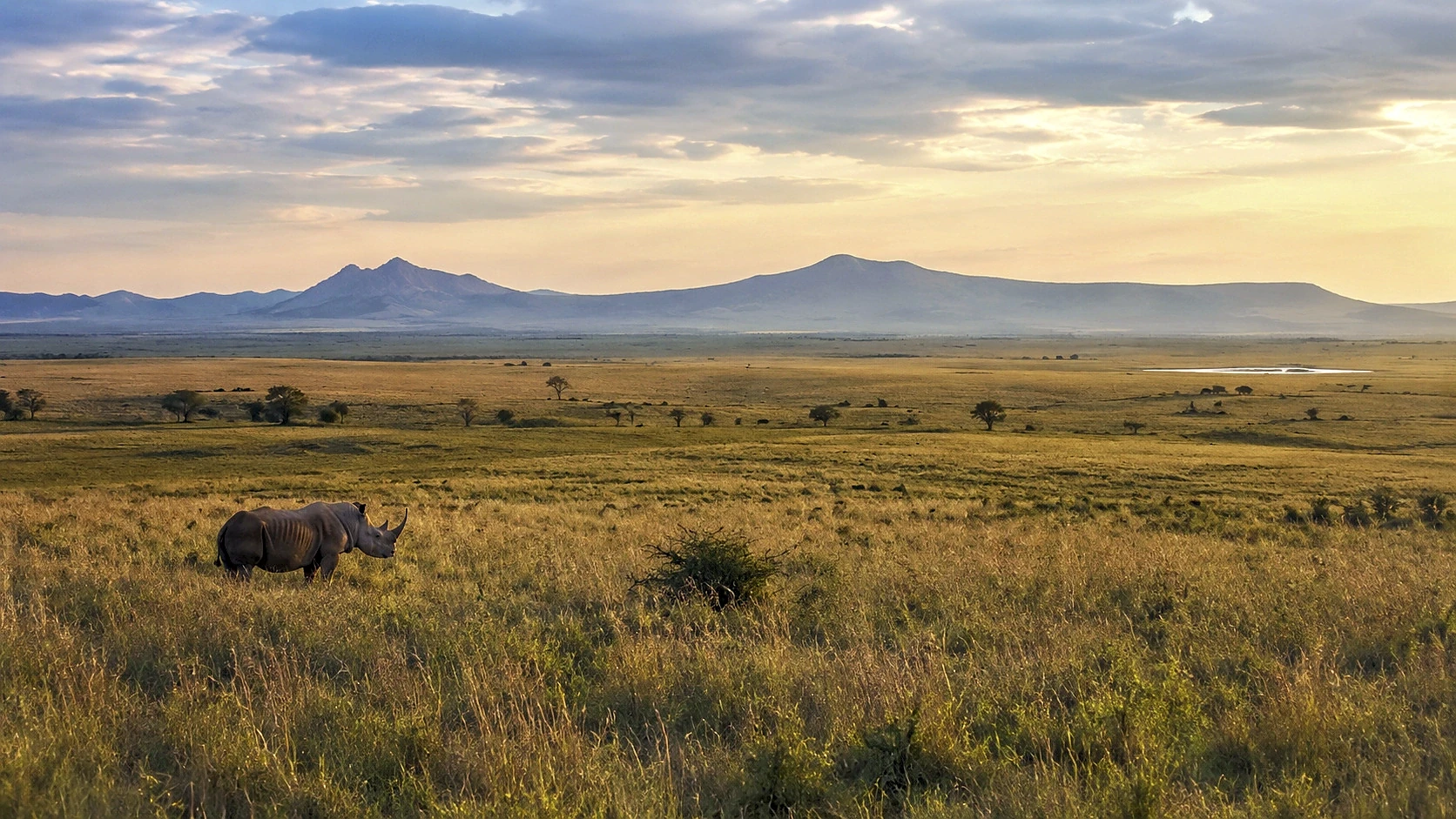 The Ultimate Kenya Experience