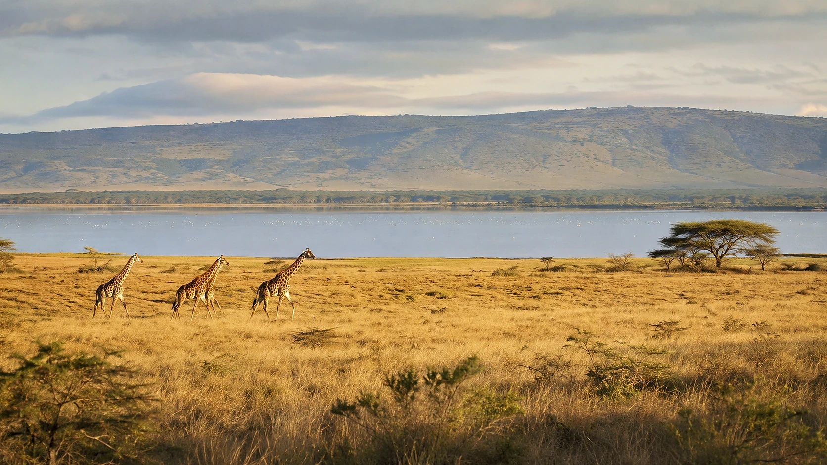 Taita Hills Wilderness Escape