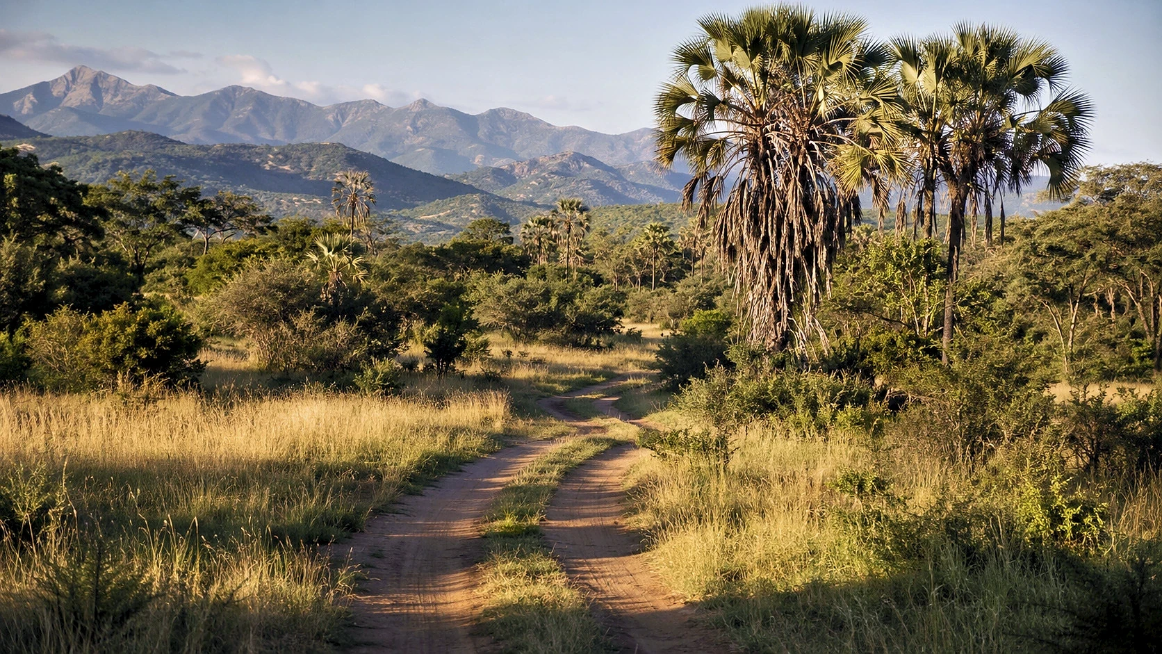 Tsavo to the Mara Wilderness Trail