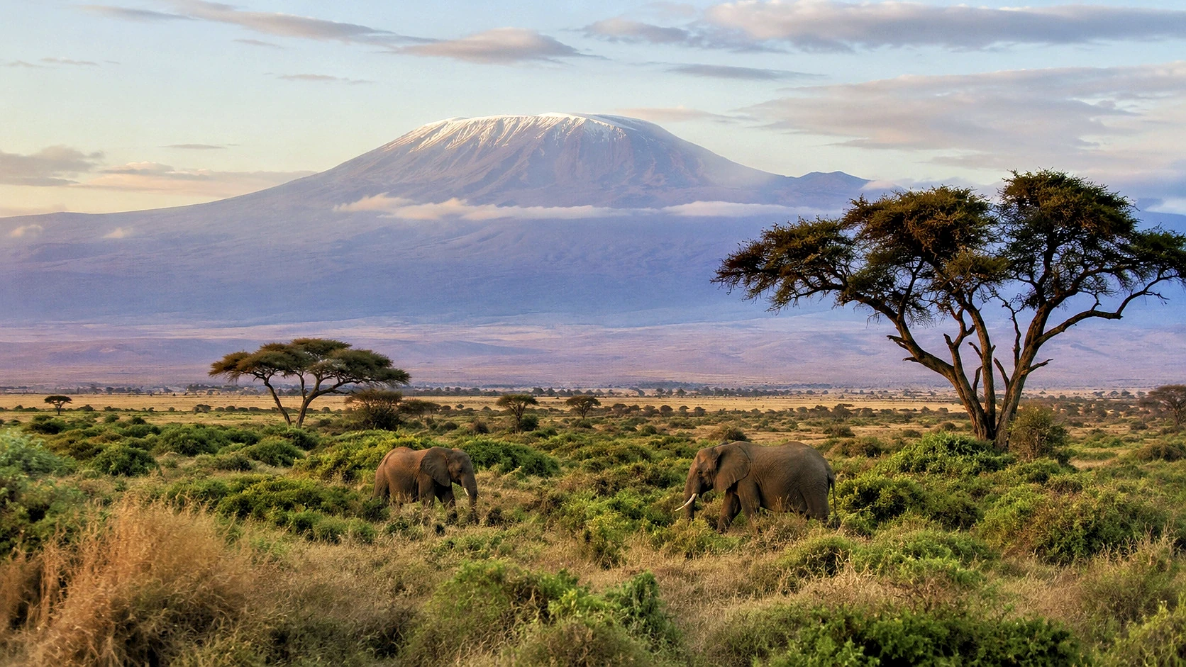 Kenya Coast, Kilimanjaro & Rift Safari
