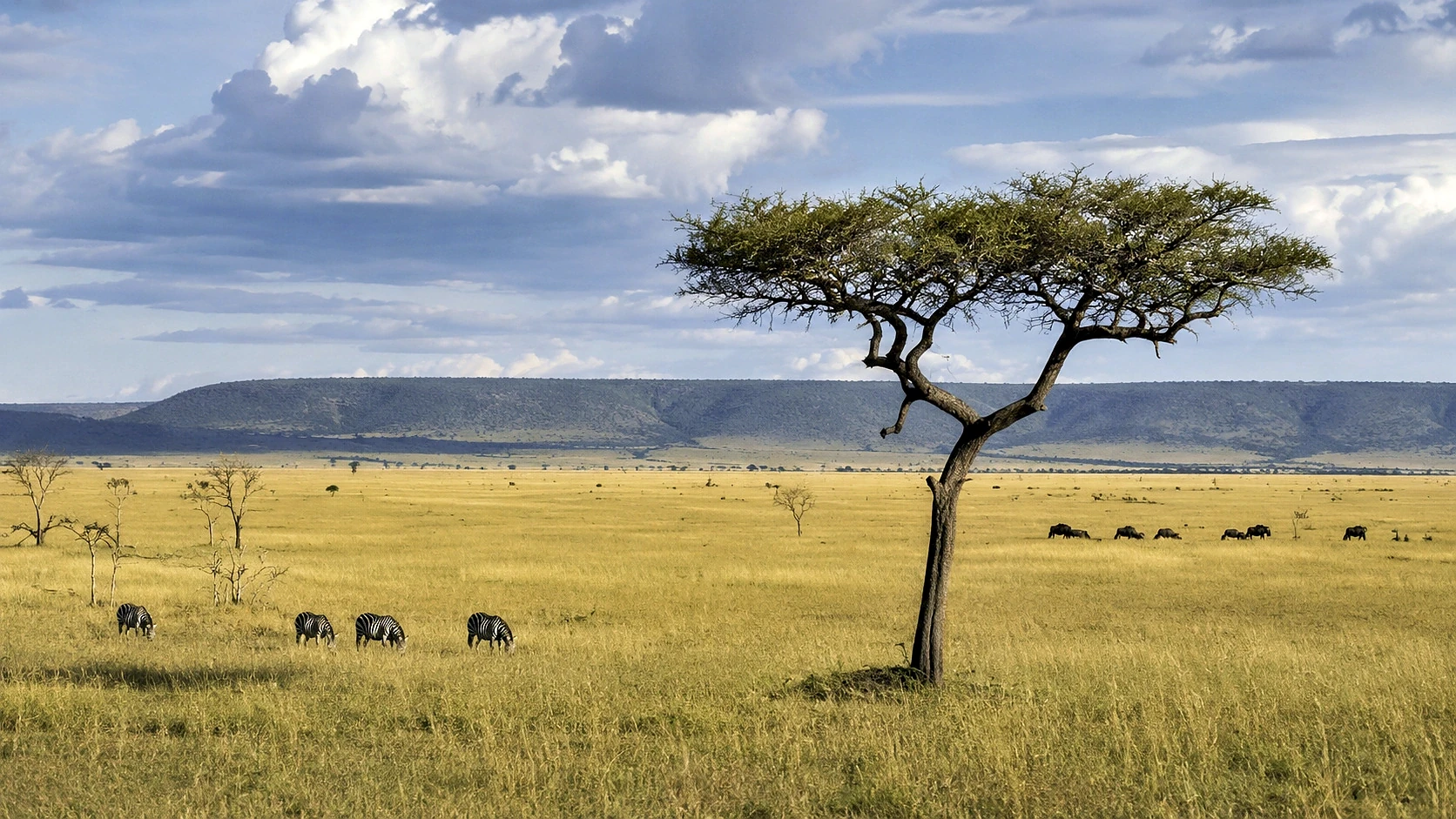 The Grand Southern Kenya Journey