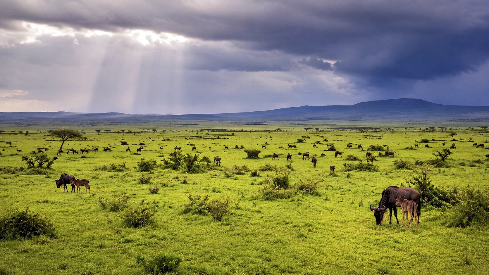 Two Countries, One Ecosystem