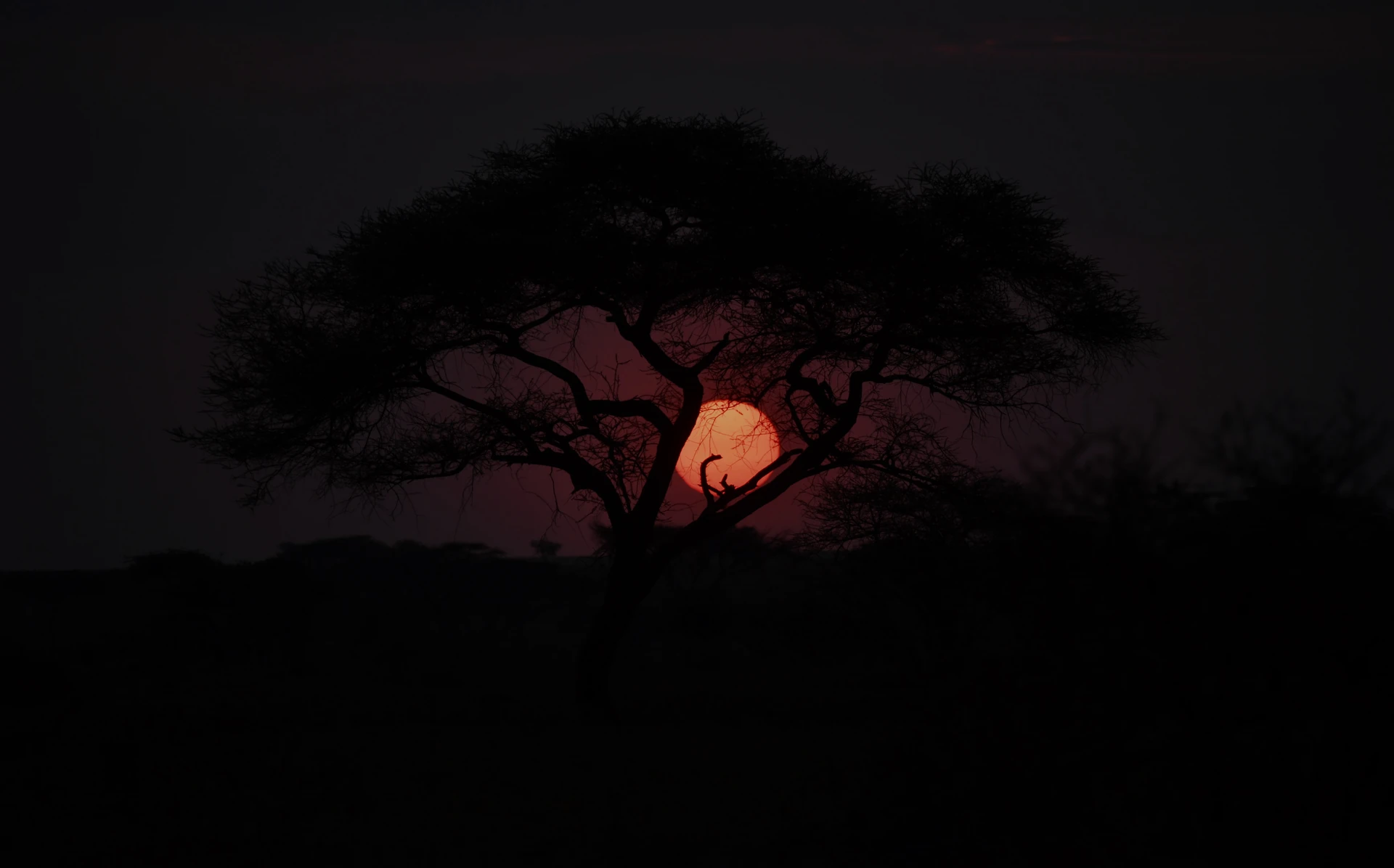 Mara, Serengeti & Ngorongoro Journey