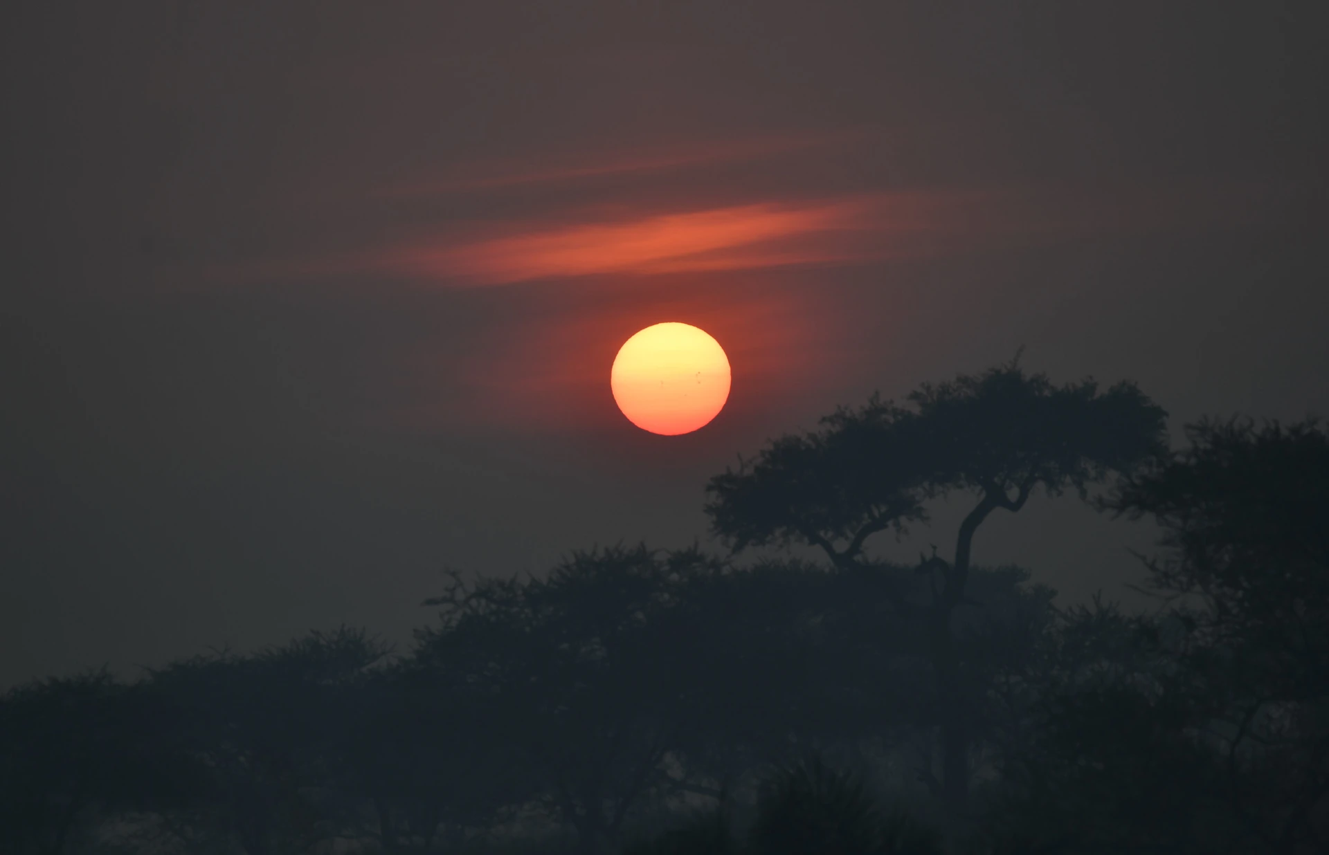Kenya & Tanzania Big Five Trail