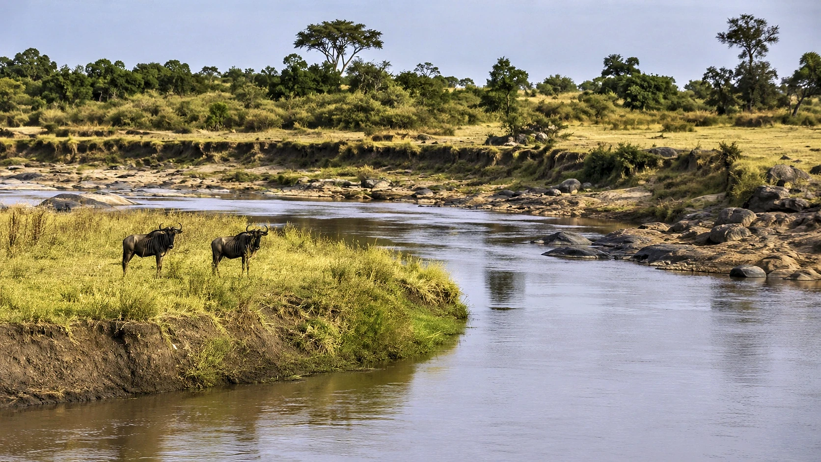 Kenya & Tanzania Wildlife Odyssey