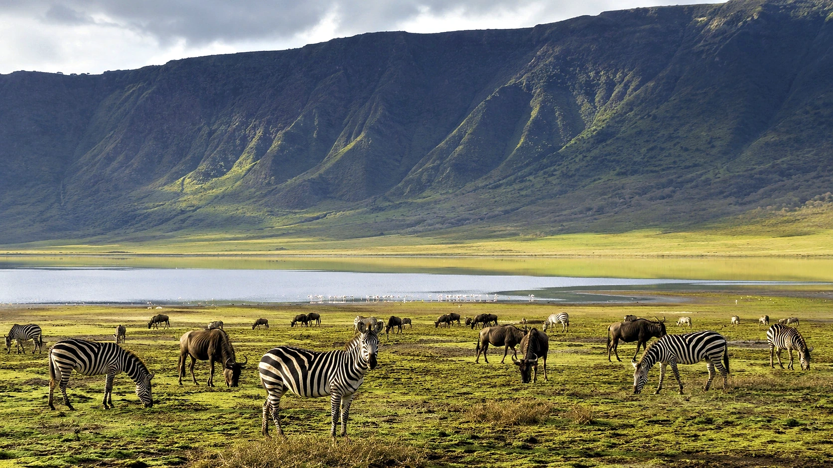 Sunward Great Migration Expedition