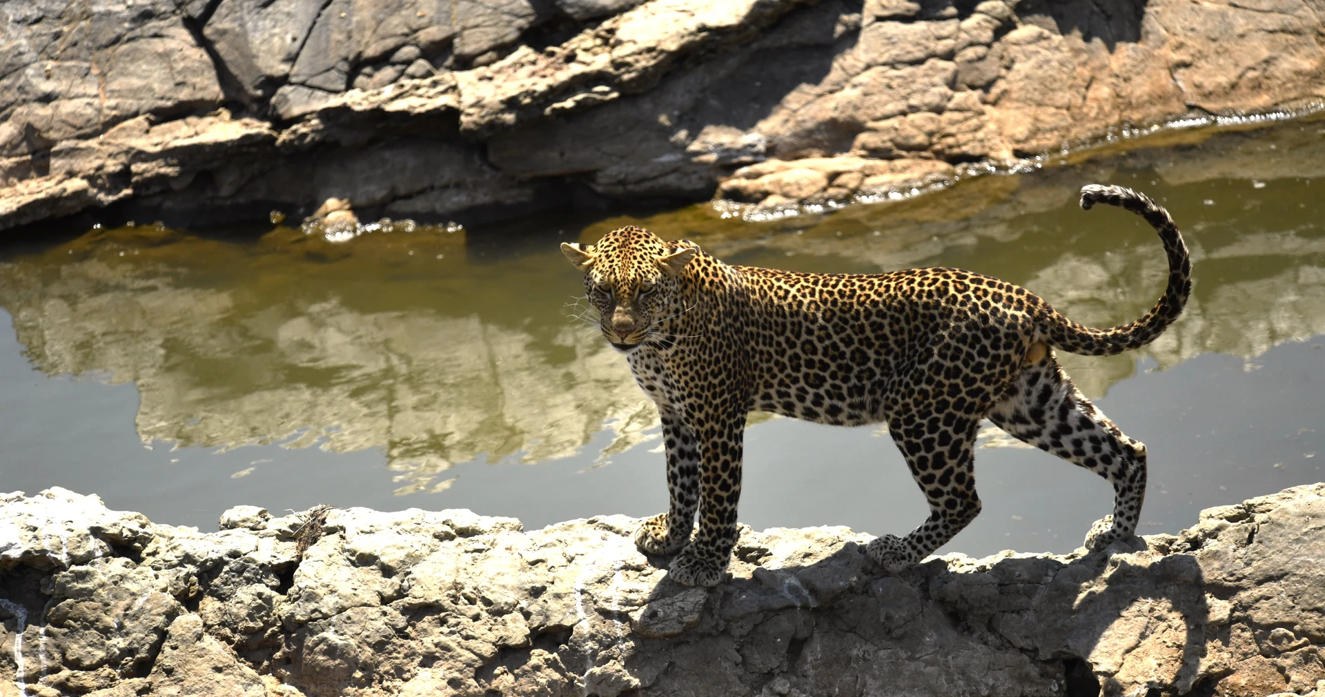 Sunward Kenya–Tanzania Grand Circuit