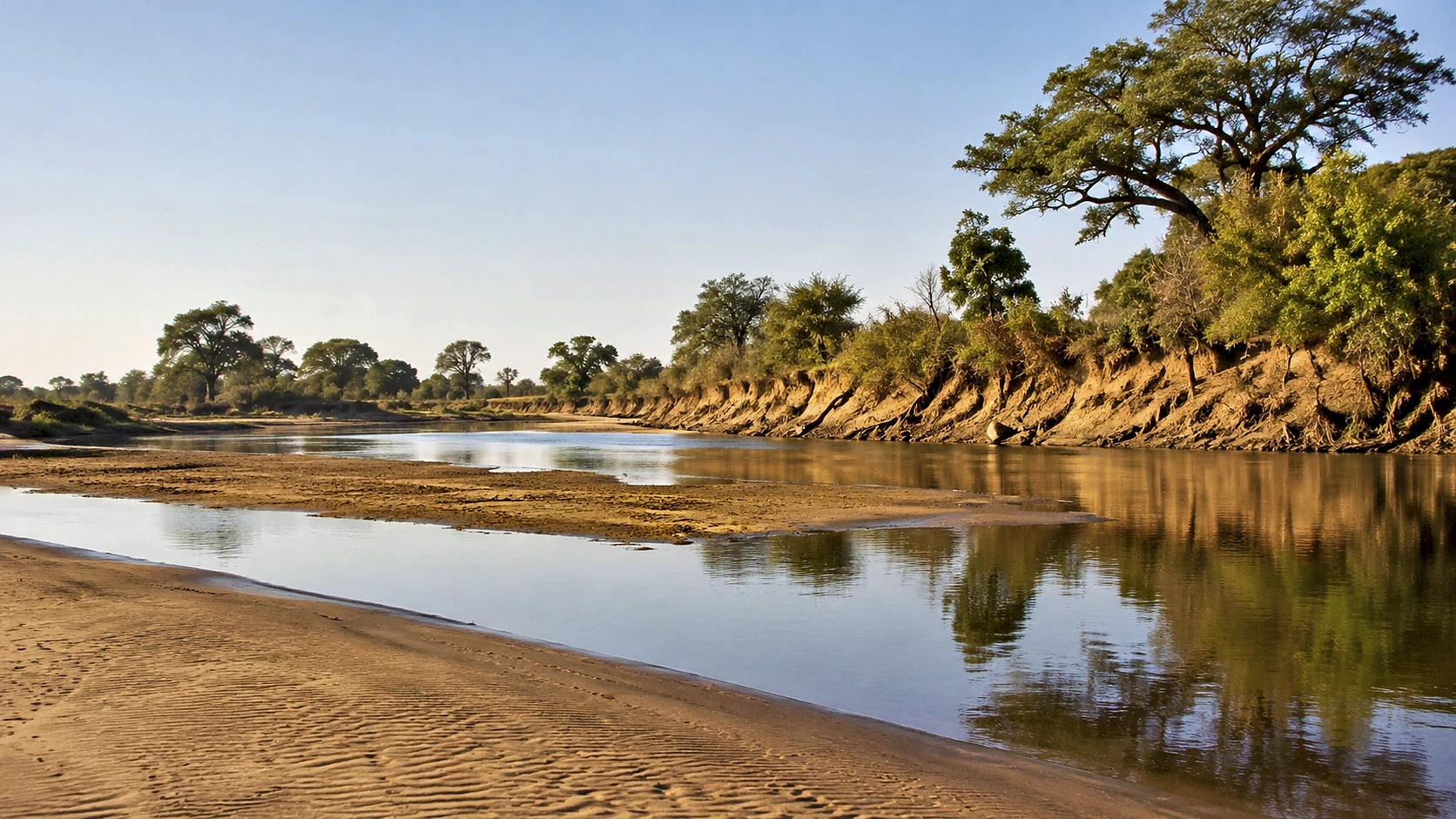 Zanzibar Blue Safari Experience
