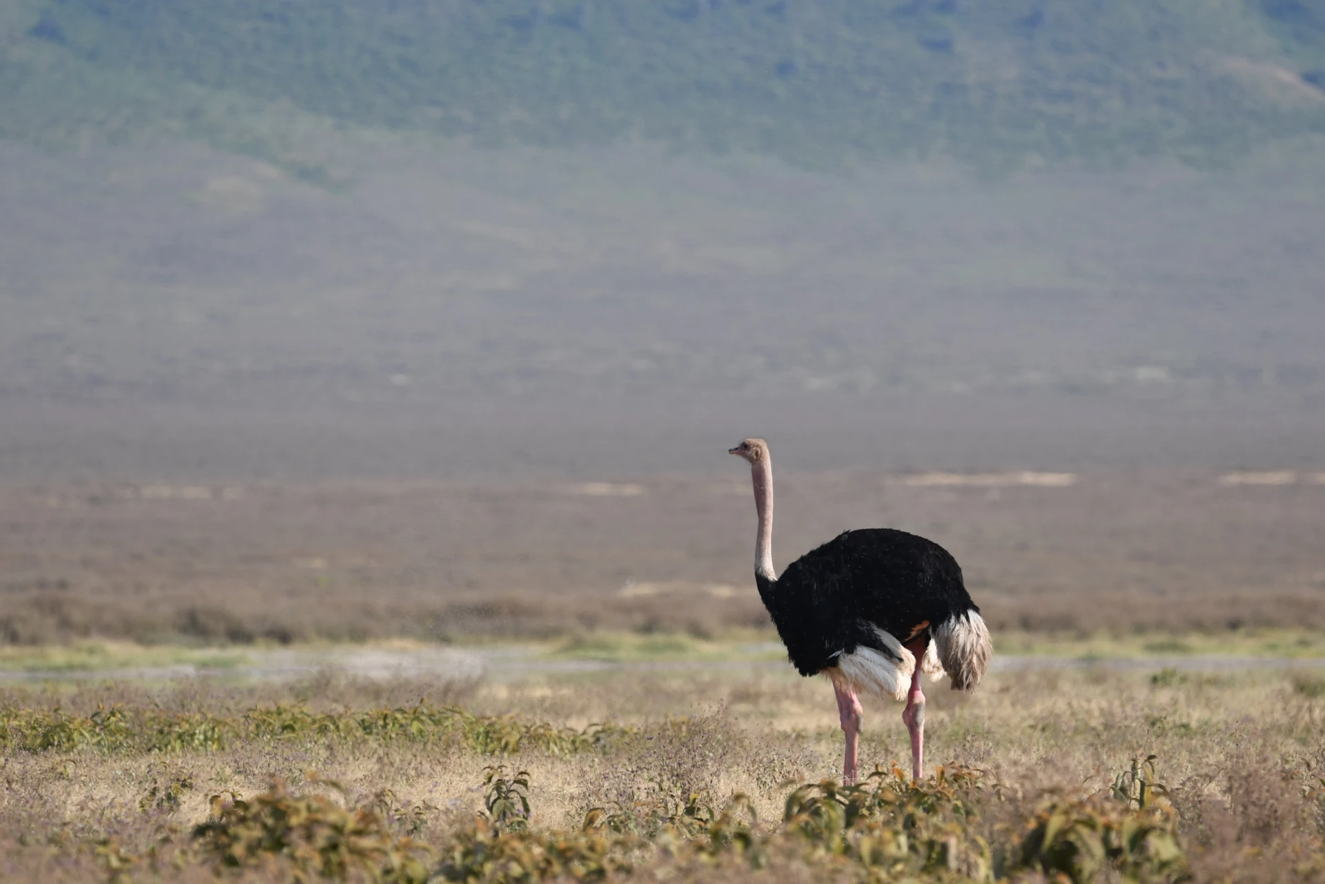 Southern Tanzania Escape 4 Days / 3 Nights