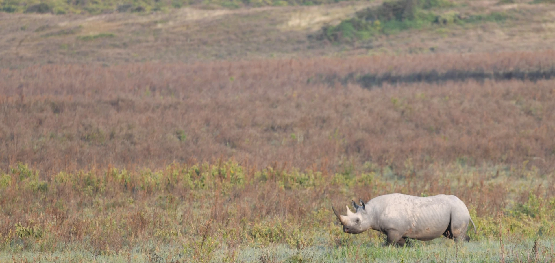 Southern Tanzania Wildlife 9 Days / 8 Nights