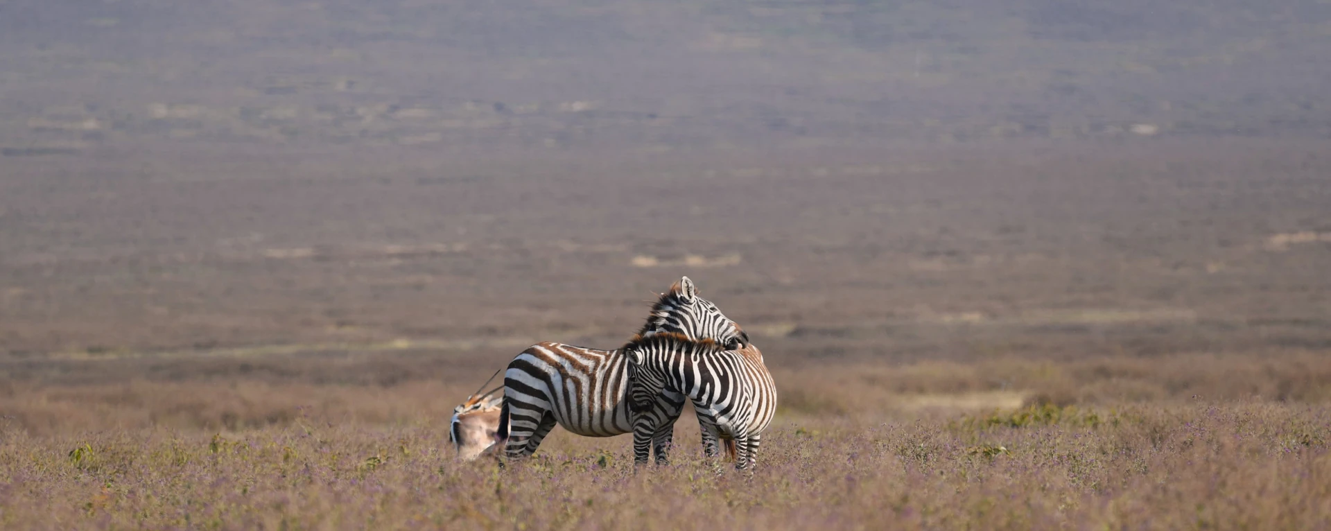 Ultimate Tanzania Expedition 11 Days / 10 Nights