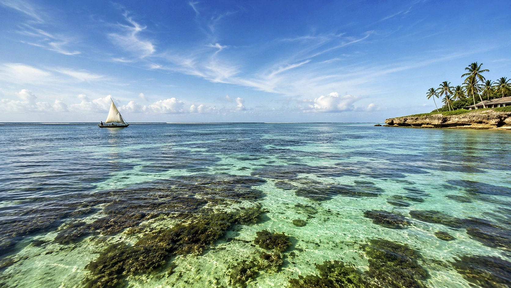 Nyerere Fly-in Escape 4 Days / 3 Nights