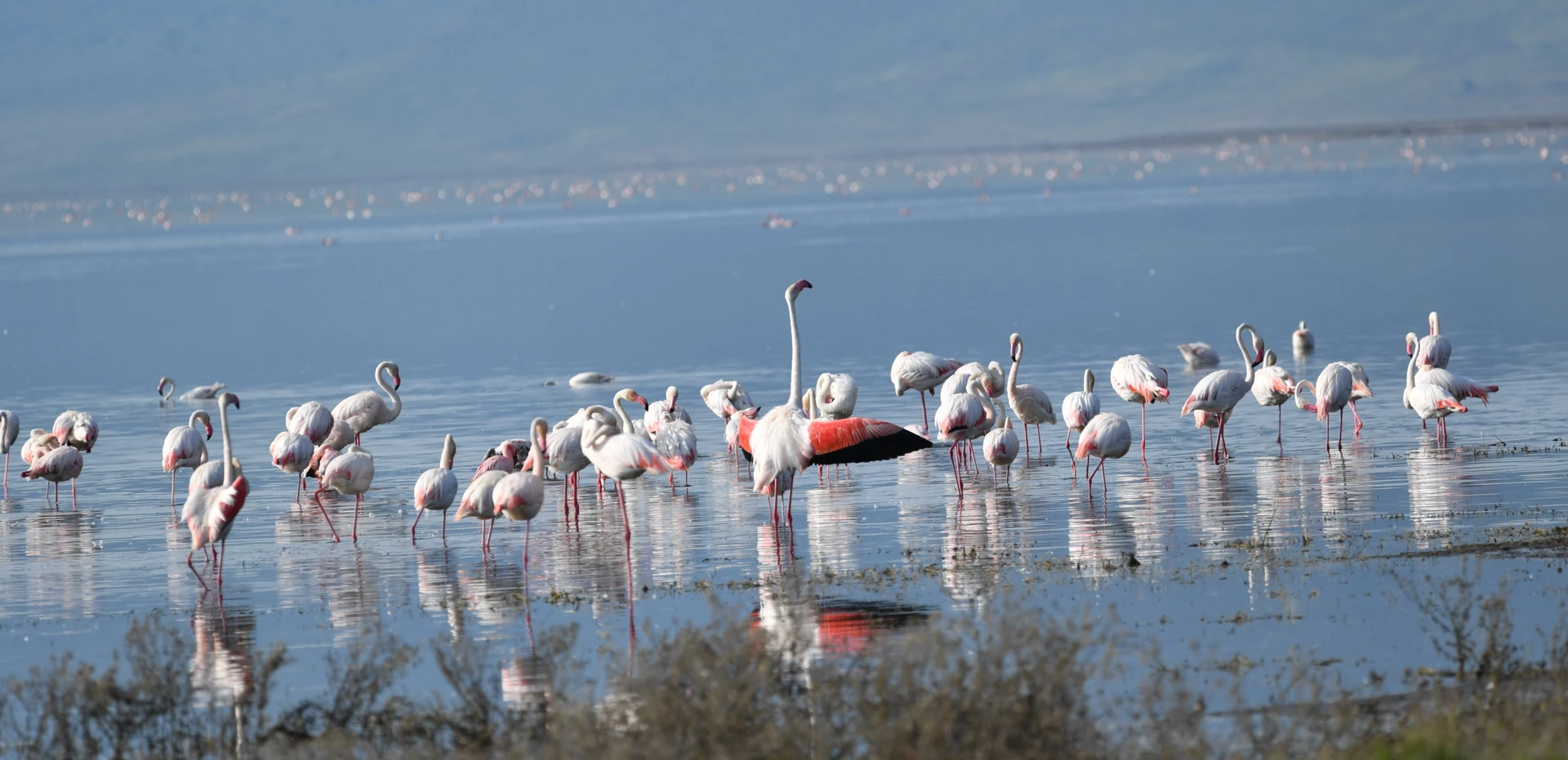 Southern Tanzania Fly-in Explorer 5 Days / 4 Nights