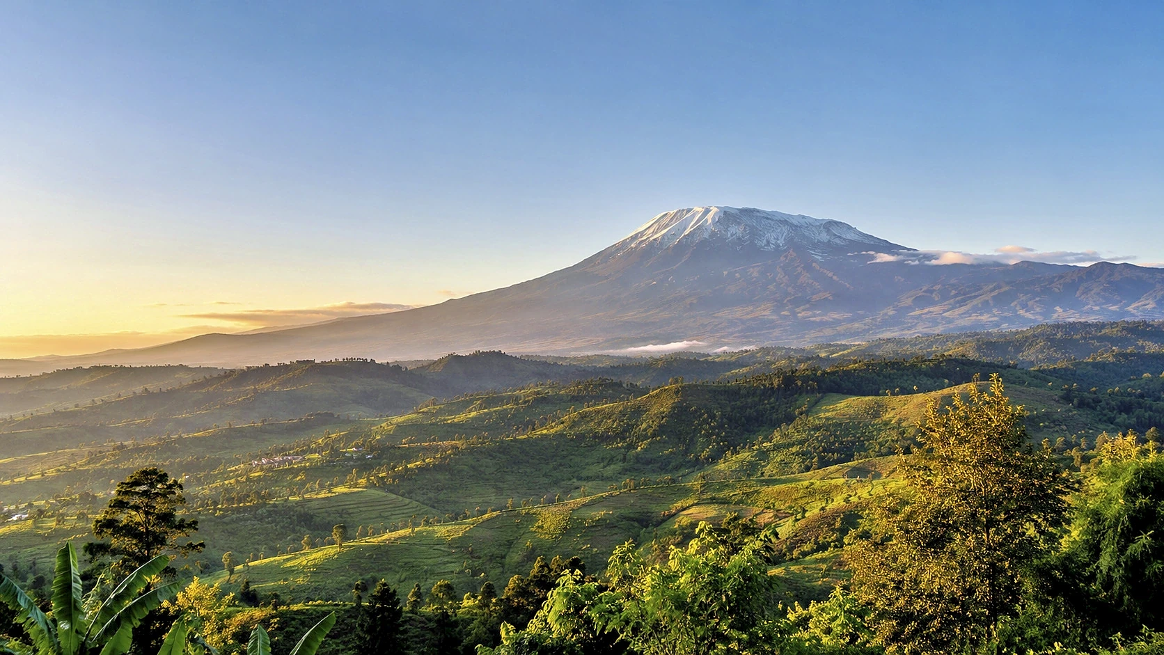 Uganda Gorilla Encounter 7 Days / 6 Nights