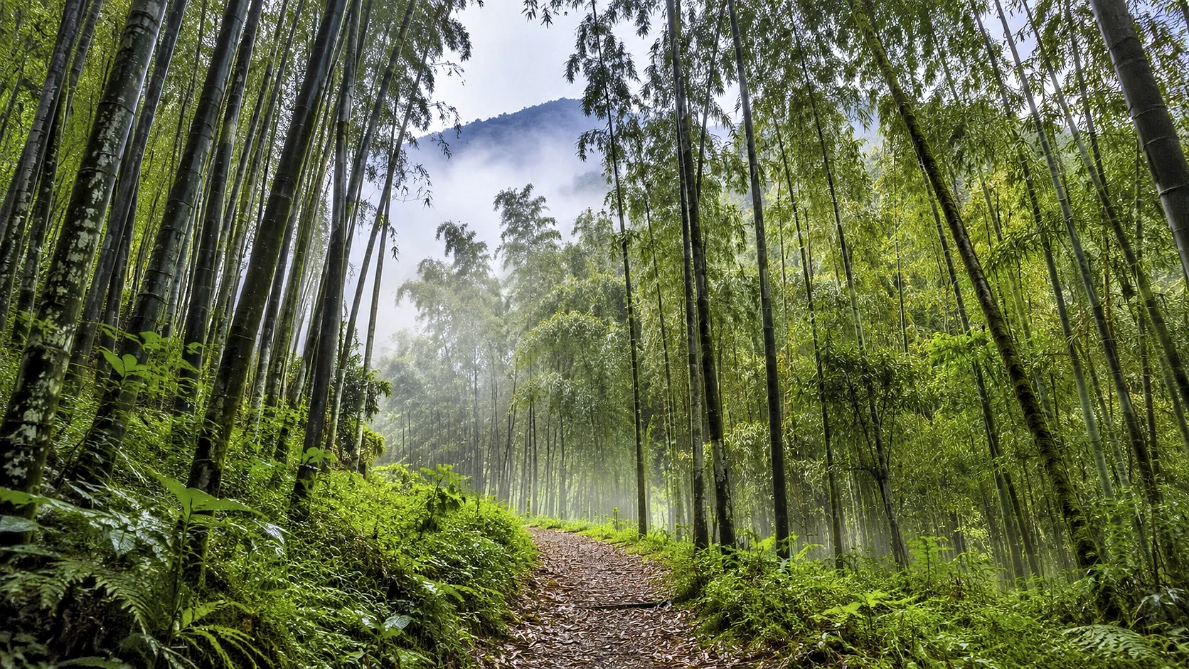 Uganda Primates & Savannah Safari 9 Days / 8 Nights
