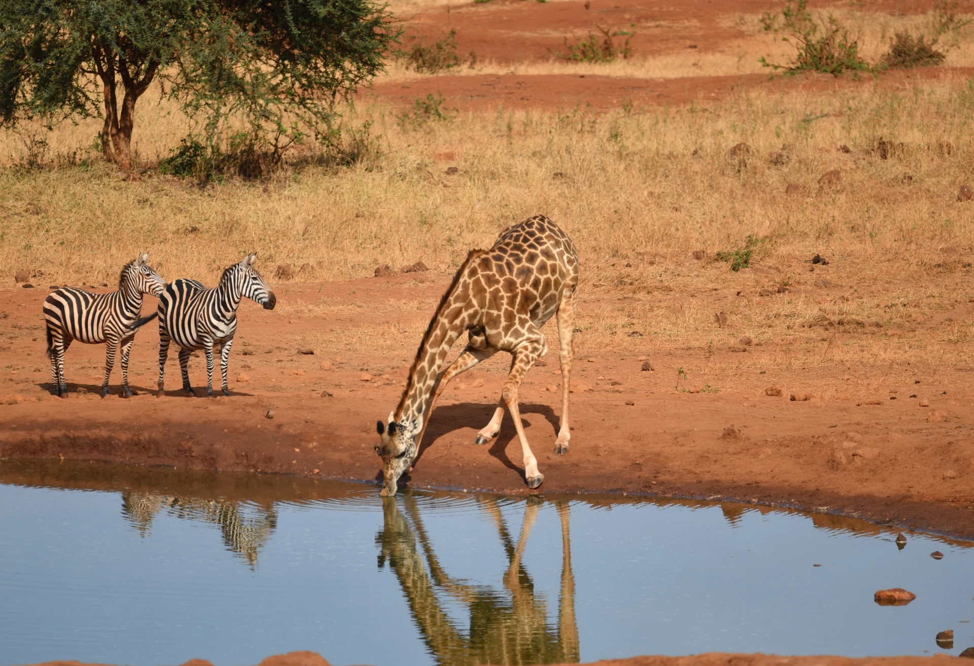 Murchison Falls Fly-in Escape 4 Days / 3 Nights