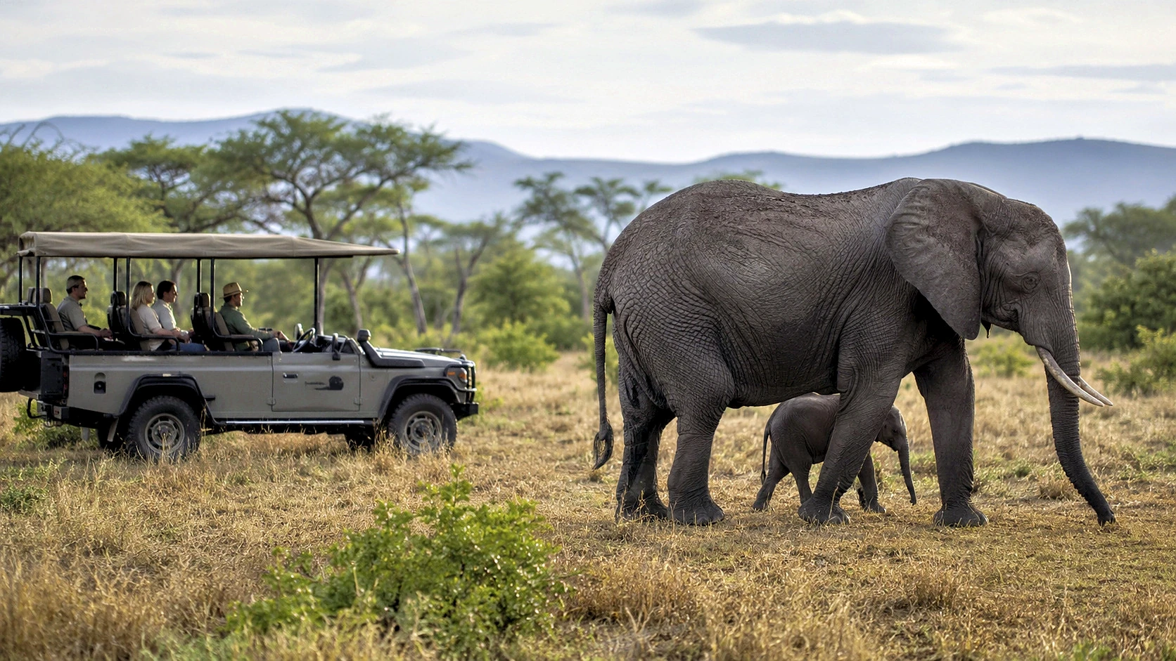 Rwanda Wildlife & Gorillas