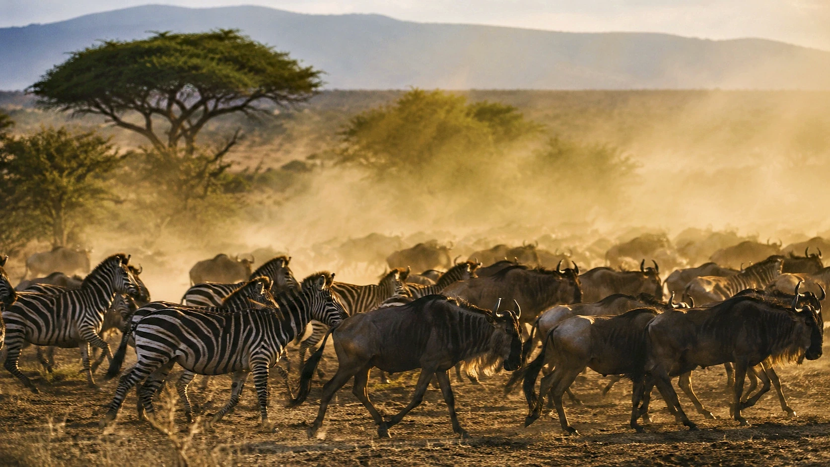 Rwanda Wildlife & Culture Trail