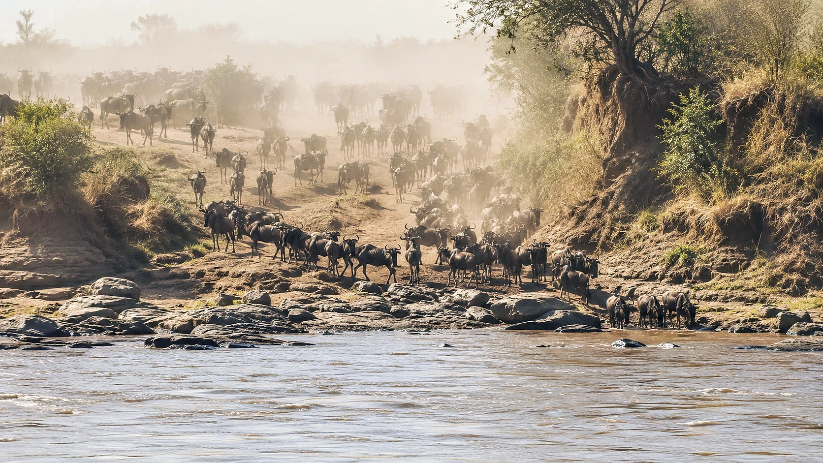 Rwanda Great Primate Journey