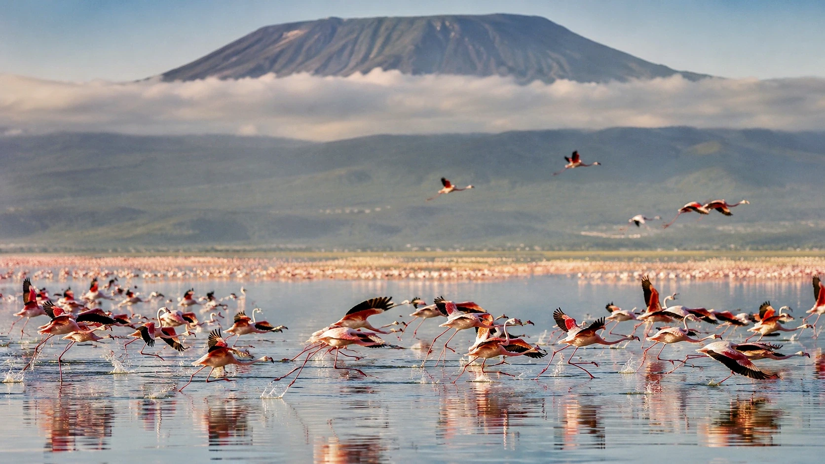 Gorillas, Kivu & Thousand Hills 5 Days / 4 Nights
