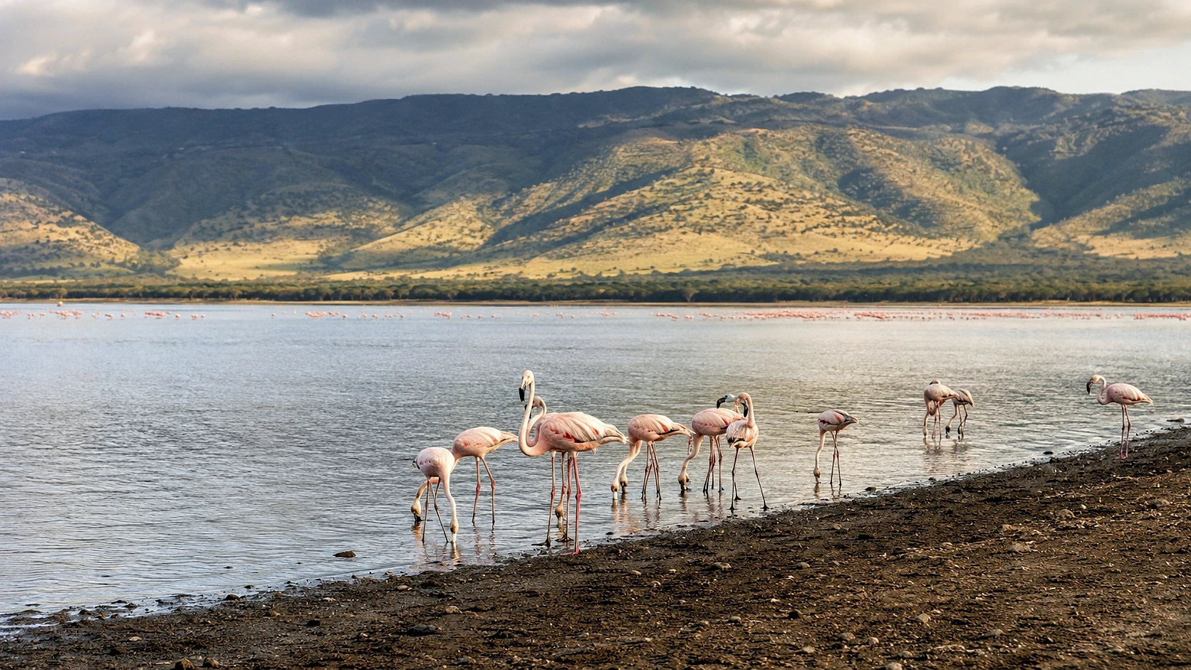 Rwanda Luxury Air Safari 6 Days / 5 Nights