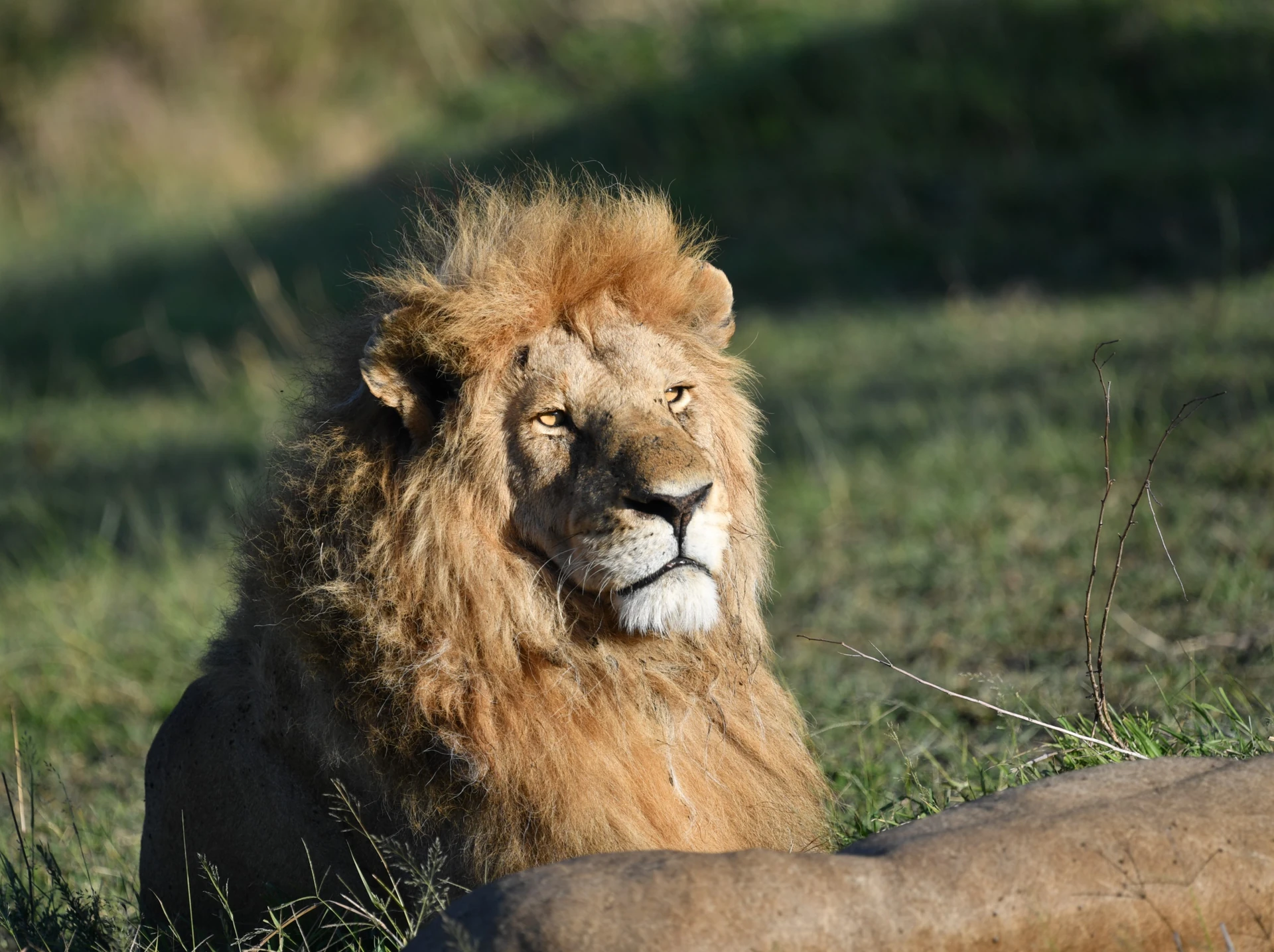 Nanyuki Equator Experience
