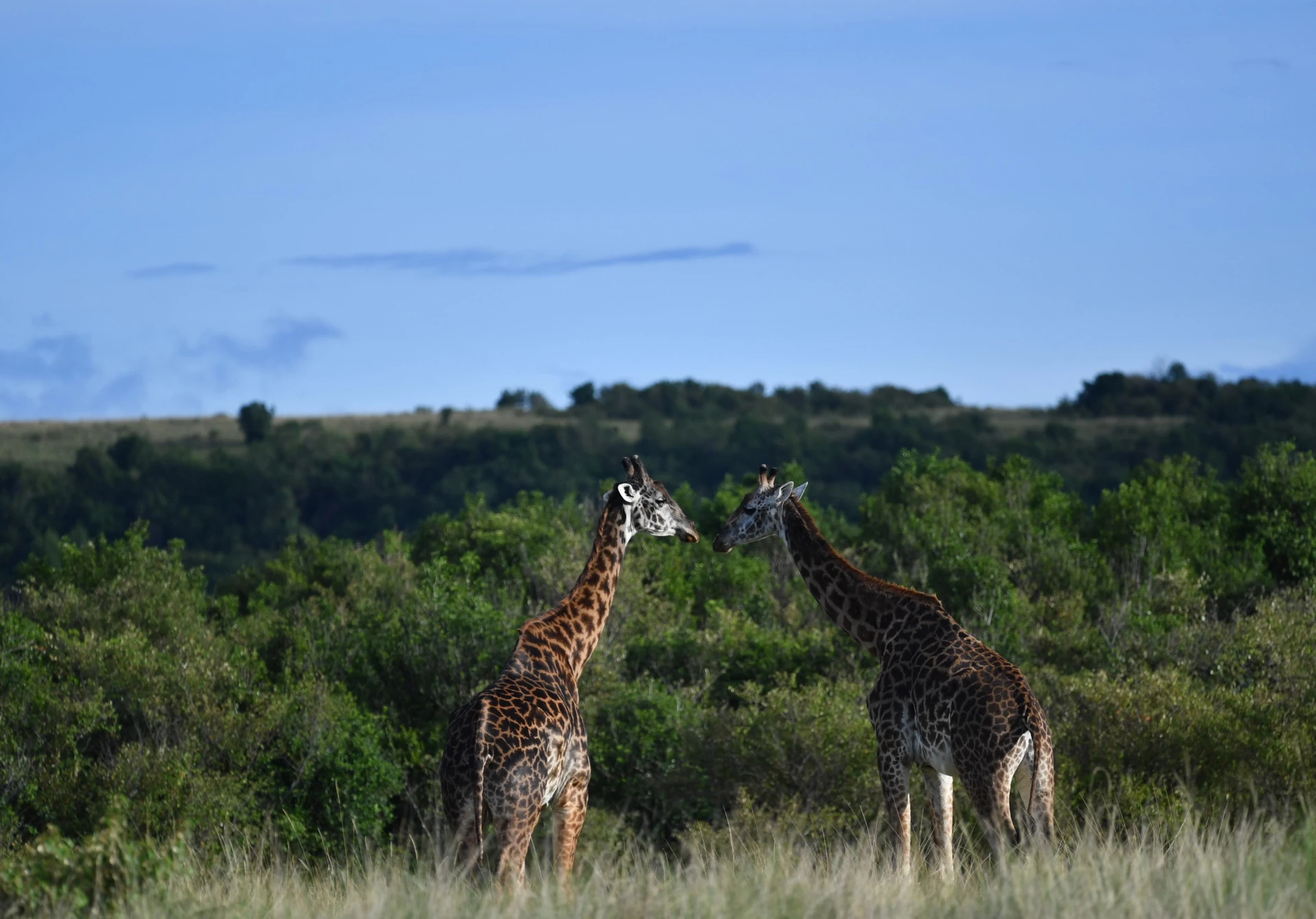 Suguta Valley Scenic Flight