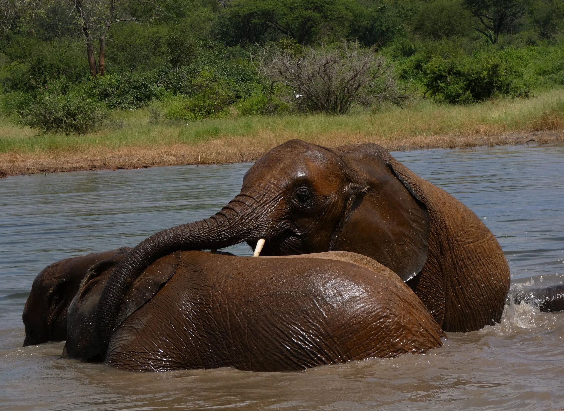 Marsabit Highlands Experience